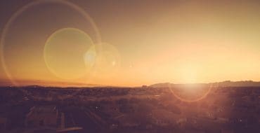 RowanOak – 2021 Q1 Commentary